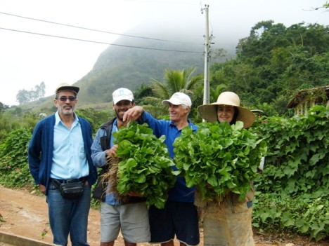 Governo Aécio Neves promove apoio à produção de hortaliças em Muriaé